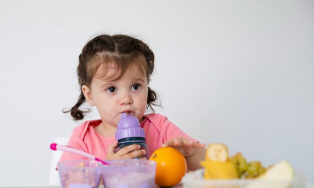 Baby Foods for Brain Development