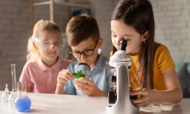 STEM Learning at Home: Easy Science Experiments for Kids