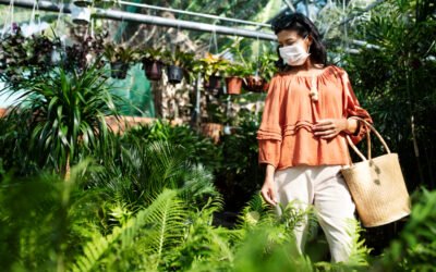 Biophilic Design in India: A Fresh Style