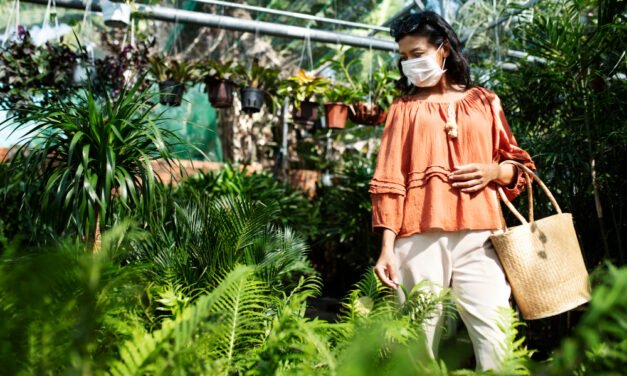 Biophilic Design in India: A Fresh Style