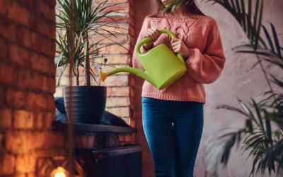 Rice Water in Home Gardening : Recycling for Healthy Plants