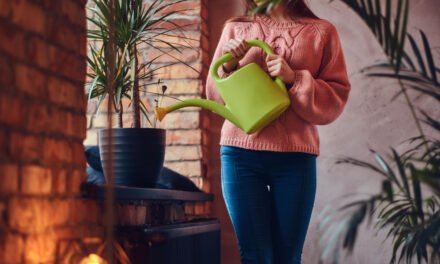 Rice Water in Home Gardening : Recycling for Healthy Plants