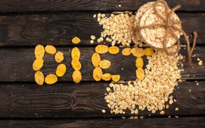 Science benefits of flaxseed for your heart, gut, and skin health