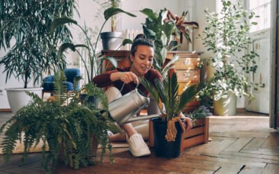 Small-Space Gardening: Transform Your Urban Oasis