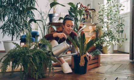 Small-Space Gardening: Transform Your Urban Oasis