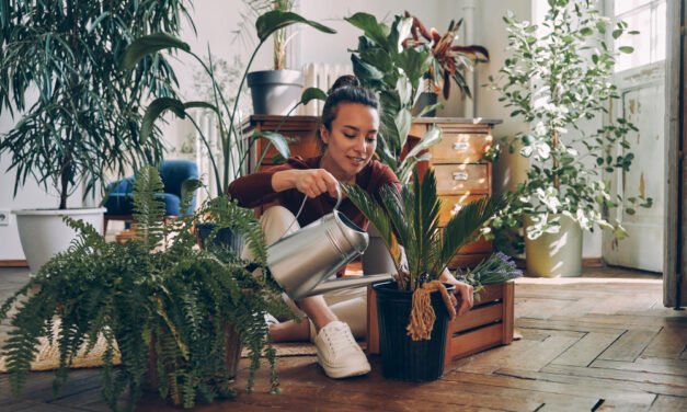 Small-Space Gardening: Transform Your Urban Oasis