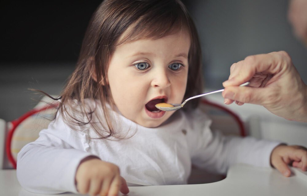 11-12-Month Baby Meal Guide: What to Feed from Morning to Night