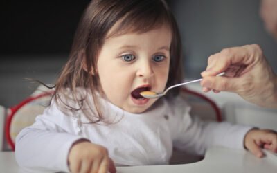 11-12-Month Baby Meal Guide: What to Feed from Morning to Night
