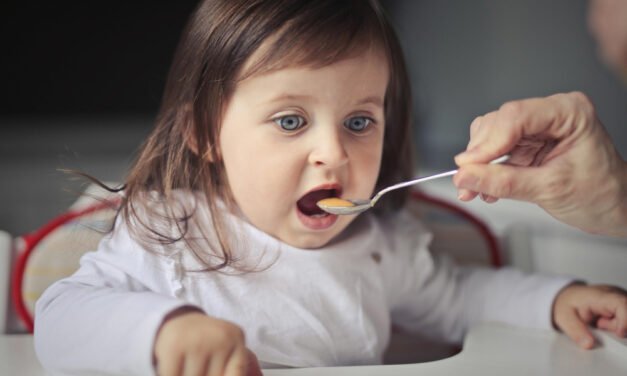 11-12-Month Baby Meal Guide: What to Feed from Morning to Night