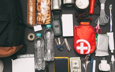 Home Survival Kit Essentials for Comfort and Emergencies