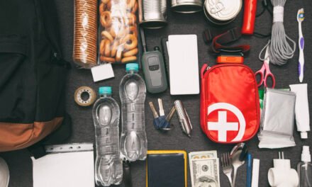 Home Survival Kit Essentials for Comfort and Emergencies