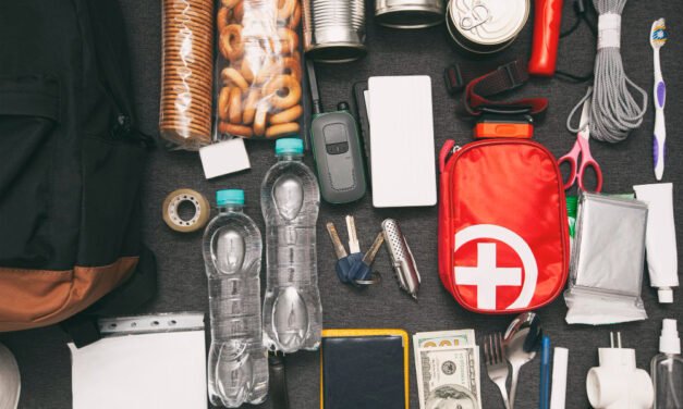 Home Survival Kit Essentials for Comfort and Emergencies