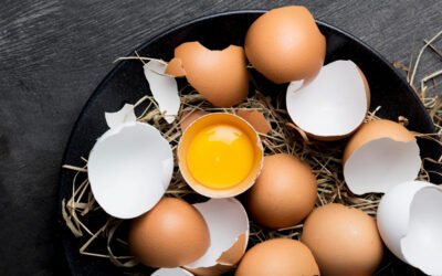 Eggs for Every Age: Health Tips & Benefits from Toddlers to Seniors