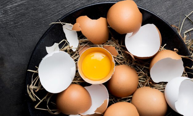 Eggs for Every Age: Health Tips & Benefits from Toddlers to Seniors