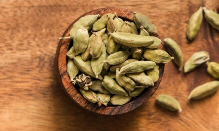 Cardamom’s Amazing Health Tips Benefits: The Queen of Spices