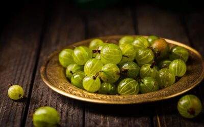 Triphala and amla: ancient secrets for digestion and detox