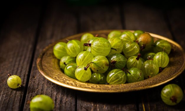 Triphala and amla: ancient secrets for digestion and detox