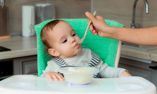 6-Month Baby Meal Guide: What to Feed from Morning to Night