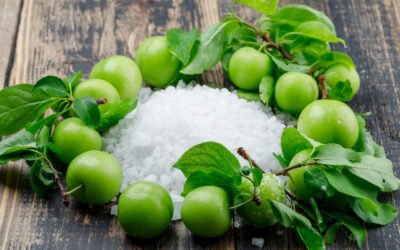 Health Benefits of Amla You Shouldn’t Ignore