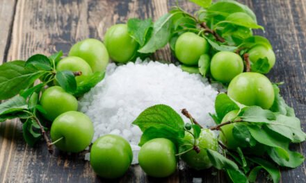 Health Benefits of Amla You Shouldn’t Ignore