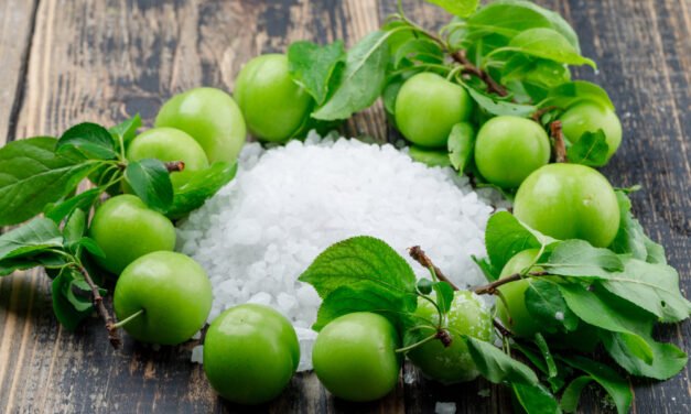 Health Benefits of Amla You Shouldn’t Ignore