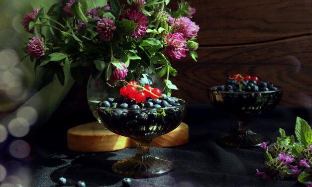 Ayurveda and Herbal Medicine: A Forgotten Treasure of Berries in Mental health