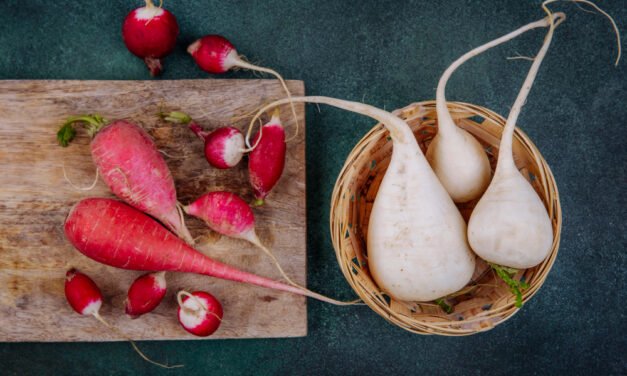Radish Benefits: A Crunchy Root for Better Health