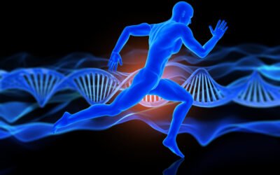 Balance for Stronger Bones: Calcium, Vitamin D and Absorption