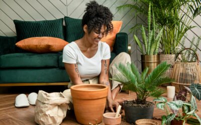 Eco-Conscious Lifestyle: Sustainable Home Decor Tips