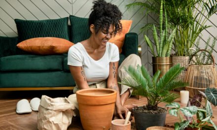 Eco-Conscious Lifestyle: Sustainable Home Decor Tips