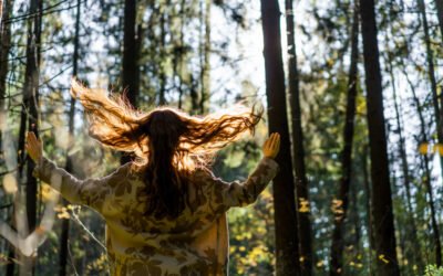How Nature Supports Self-Care: Forest Walks, Sunlight Stillness