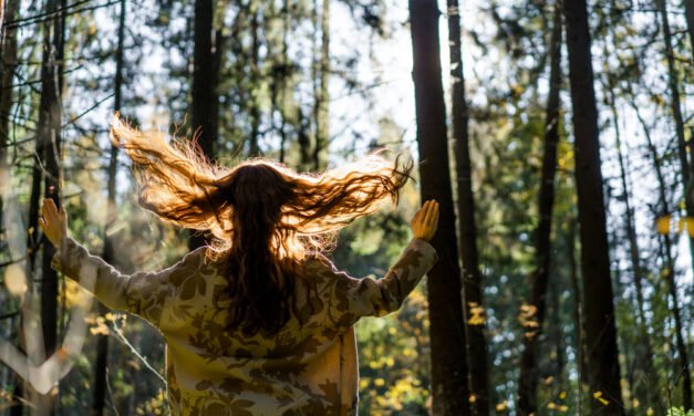 How Nature Supports Self-Care: Forest Walks, Sunlight Stillness