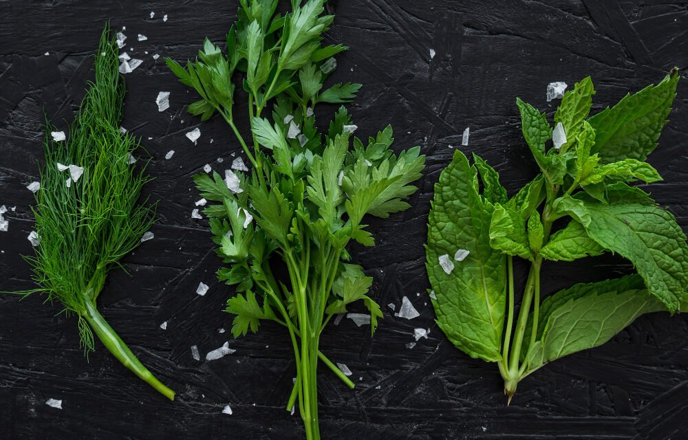 Anti-Diabetic Leaves for Natural Sugar Balance