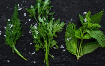 Anti-Diabetic Leaves for Natural Sugar Balance