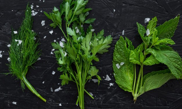 Anti-Diabetic Leaves for Natural Sugar Balance