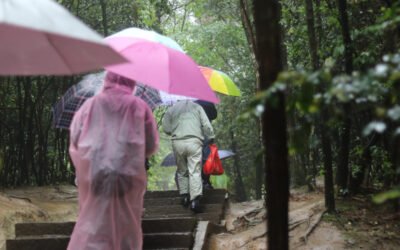 Rainy Season Festivals Around the World