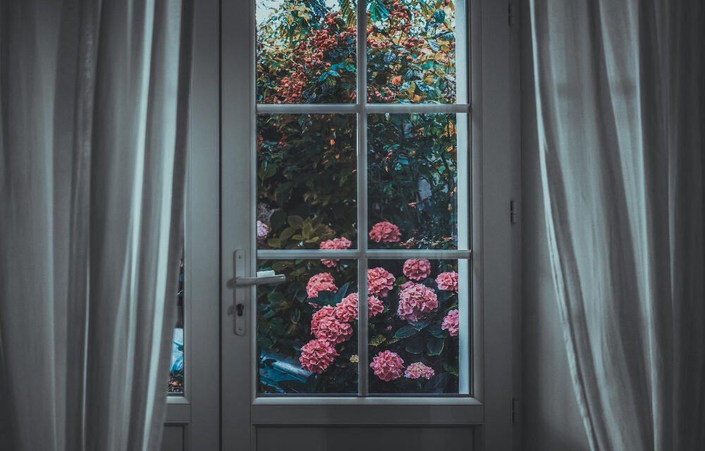 Eco-Friendly Homes and Vastu: Merging Sustainability with Energy