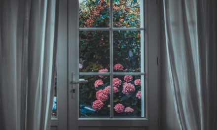 Eco-Friendly Homes and Vastu: Merging Sustainability with Energy