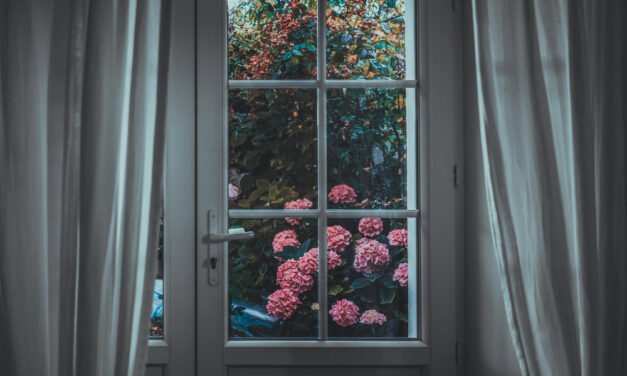 Eco-Friendly Homes and Vastu: Merging Sustainability with Energy