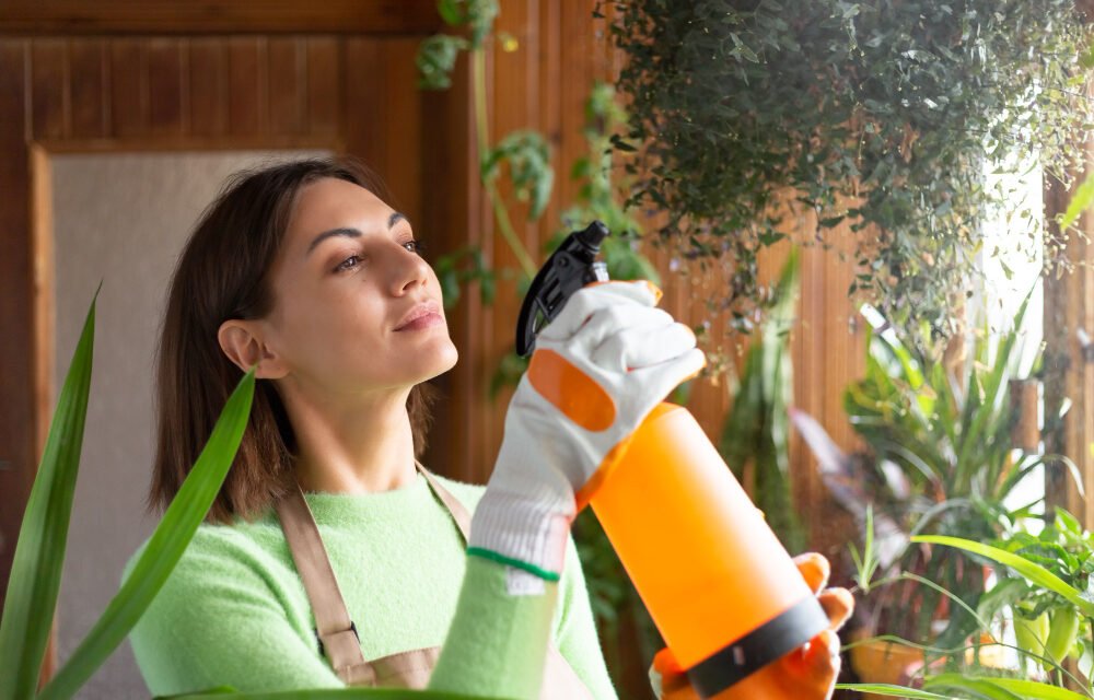 6 Stylish Camphor Hacks to keep Rooms Fresh This Rainy Season