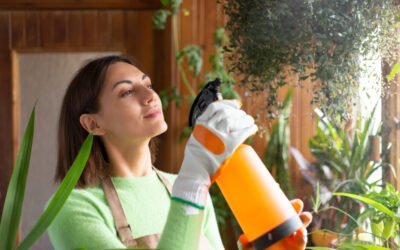 6 Stylish Camphor Hacks to keep Rooms Fresh This Rainy Season