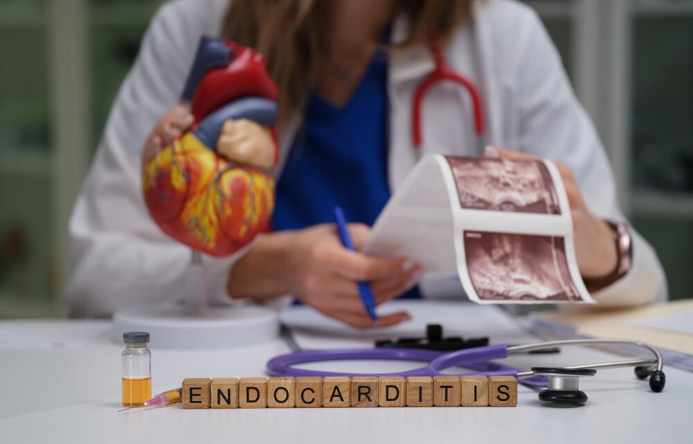 Cholesterol Myths Explained: 8 Lies Hurting Your Heart